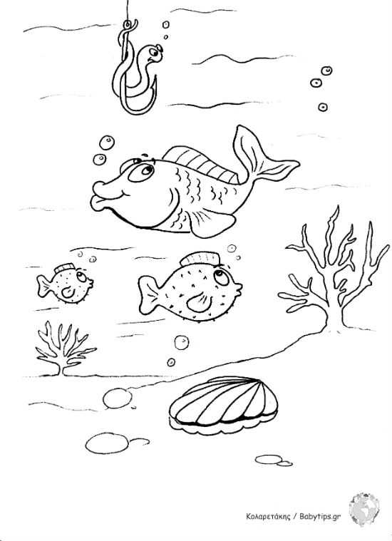 fishes