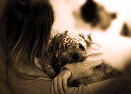 ένα κορίτσι κρατάει αγκαλιά το σκυλάκι της