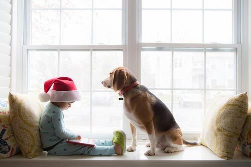 παιδί και σκύλος κάθονται μπροστά σε ένα παράθυρο